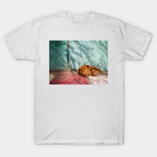 Cat orange sleep (naps) T-Shirt